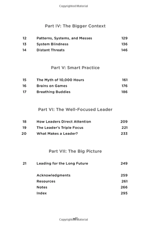 focus: the hidden driver of excellence