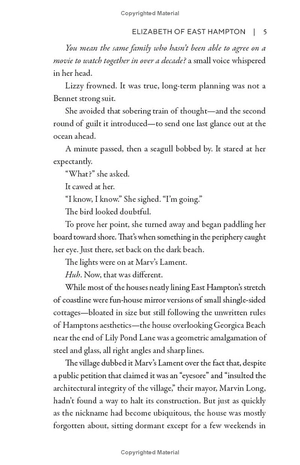 for the love of austen - book 2 - elizabeth of east hampton