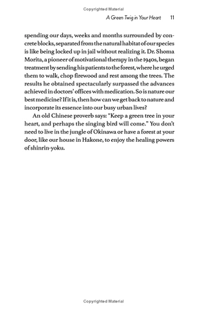 forest bathing: the rejuvenating practice of shinrin yoku