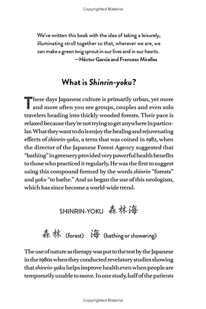 forest bathing: the rejuvenating practice of shinrin yoku