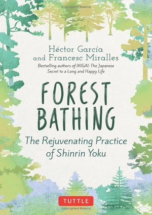 forest bathing: the rejuvenating practice of shinrin yoku