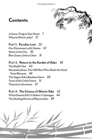 forest bathing: the rejuvenating practice of shinrin yoku