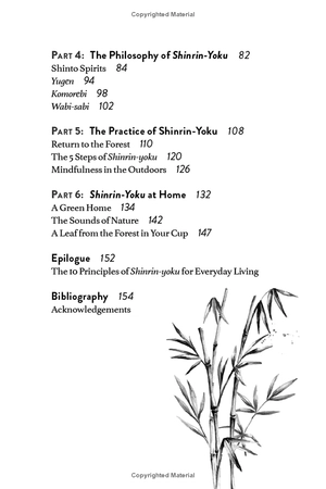 forest bathing: the rejuvenating practice of shinrin yoku