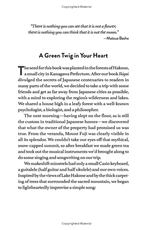 forest bathing: the rejuvenating practice of shinrin yoku