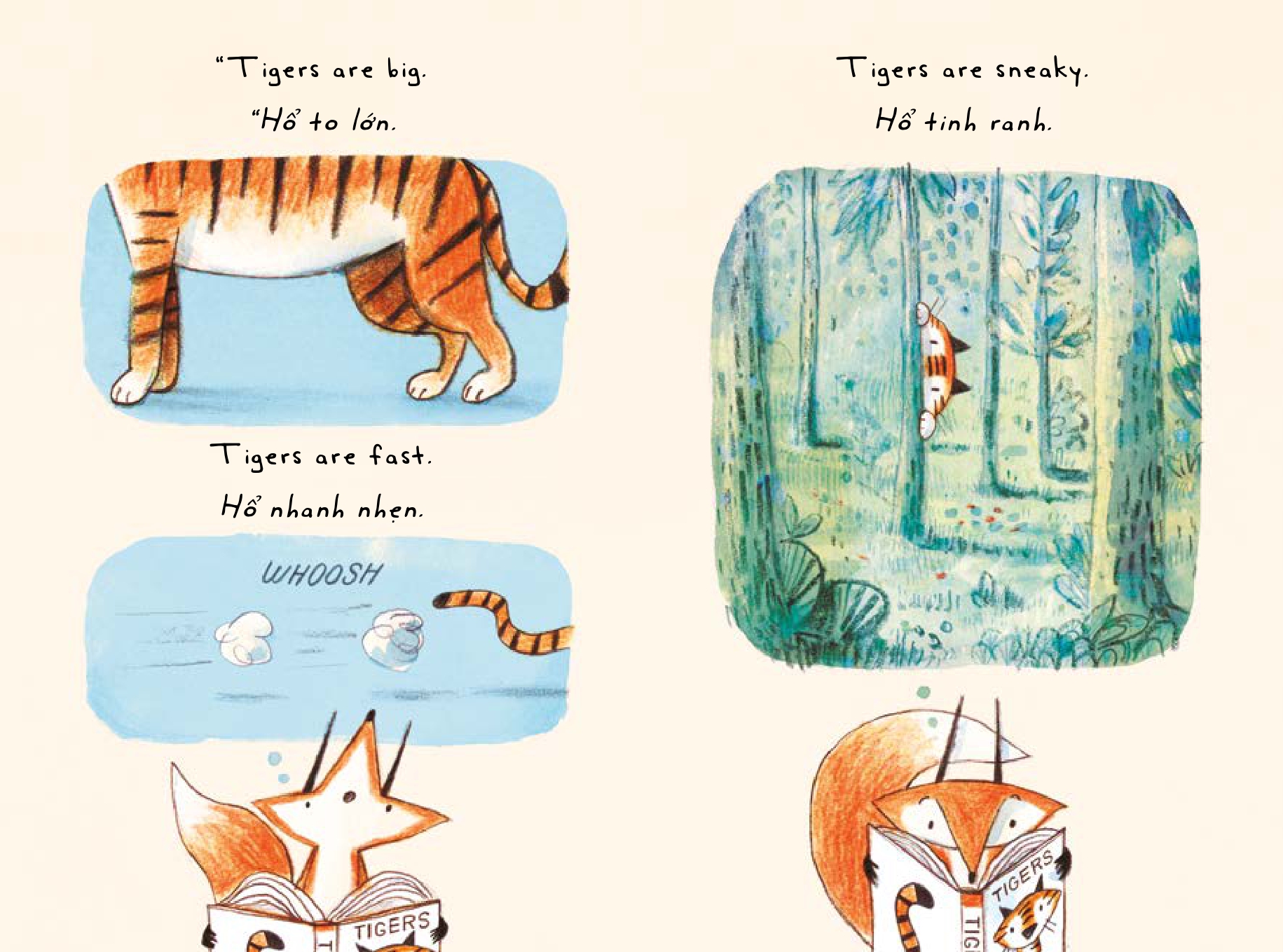 Fox The Tiger - Cao Da Ho (Tai Ban 2025)