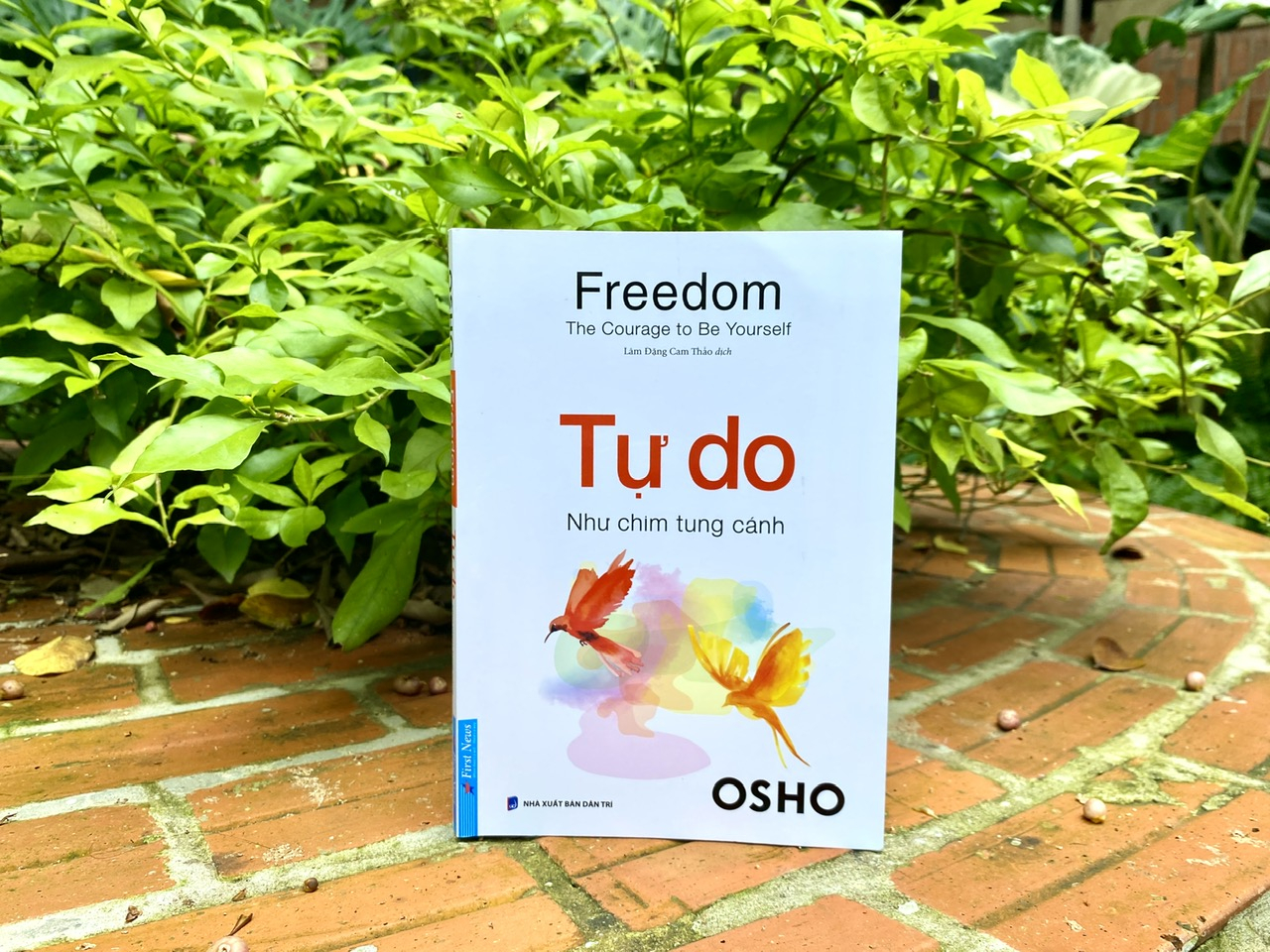 freedom - the courage to be yourseft - tự do - như chim tung cánh