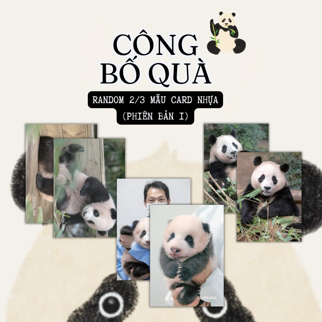 fubao toàn trí - bản đặc biệt - tặng kèm 1 bookmark bế bồi cứng + 1 postcard bồi cứng + 2 card nhựa bo góc random 2 trong 3 mẫu + 1 túi tote