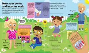 funfacts - lift the flap board book - discover the human body