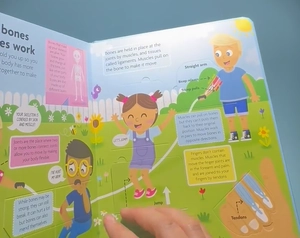 funfacts - lift the flap board book - discover the human body