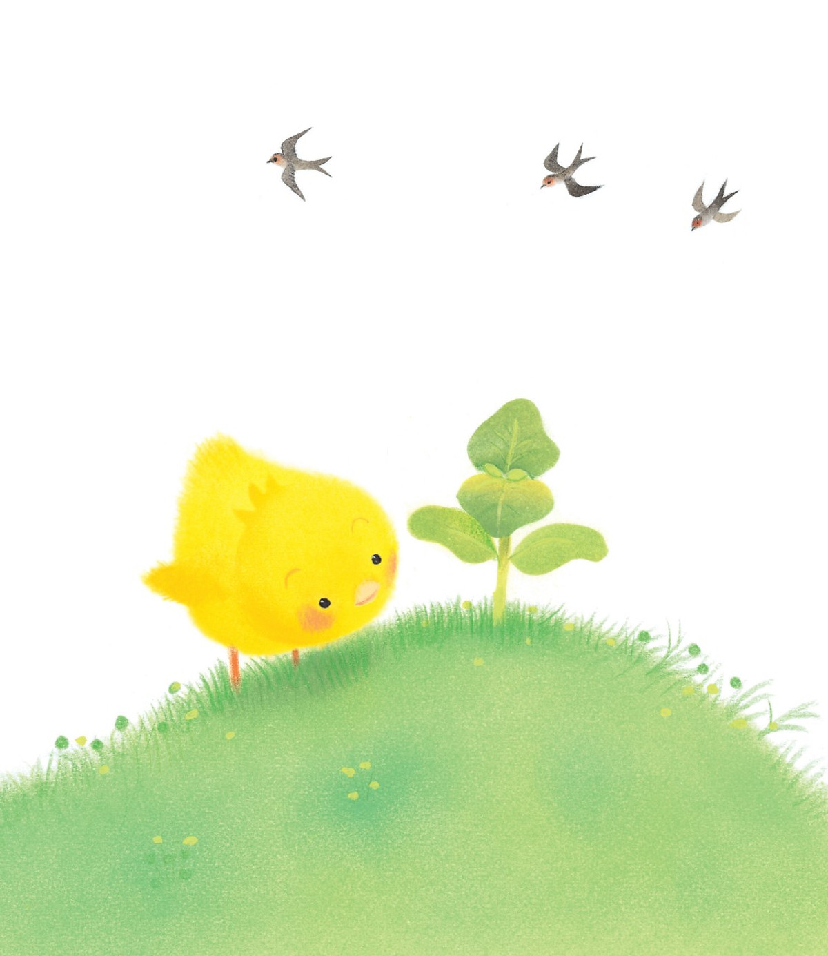 gà con và hoa hướng dương