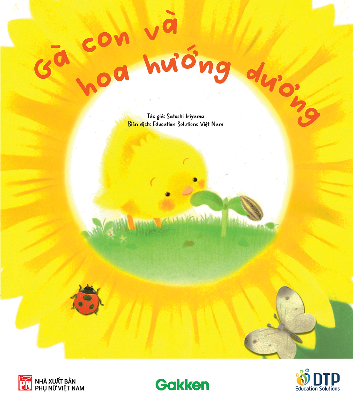 gà con và hoa hướng dương