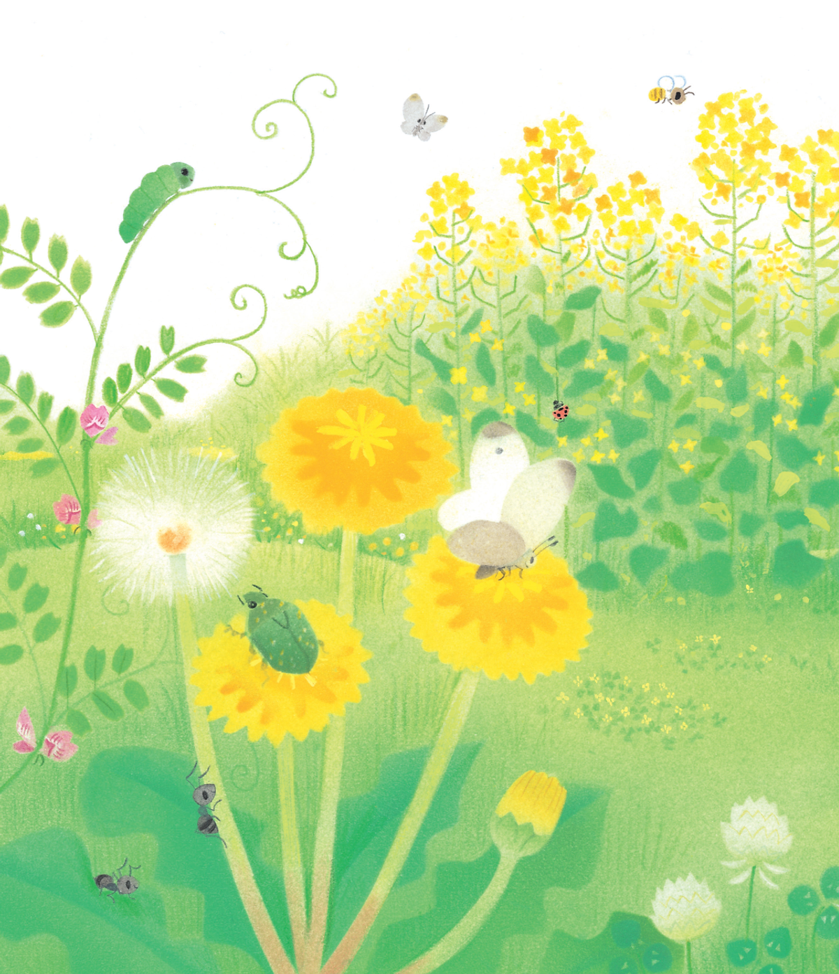 gà con và hoa hướng dương