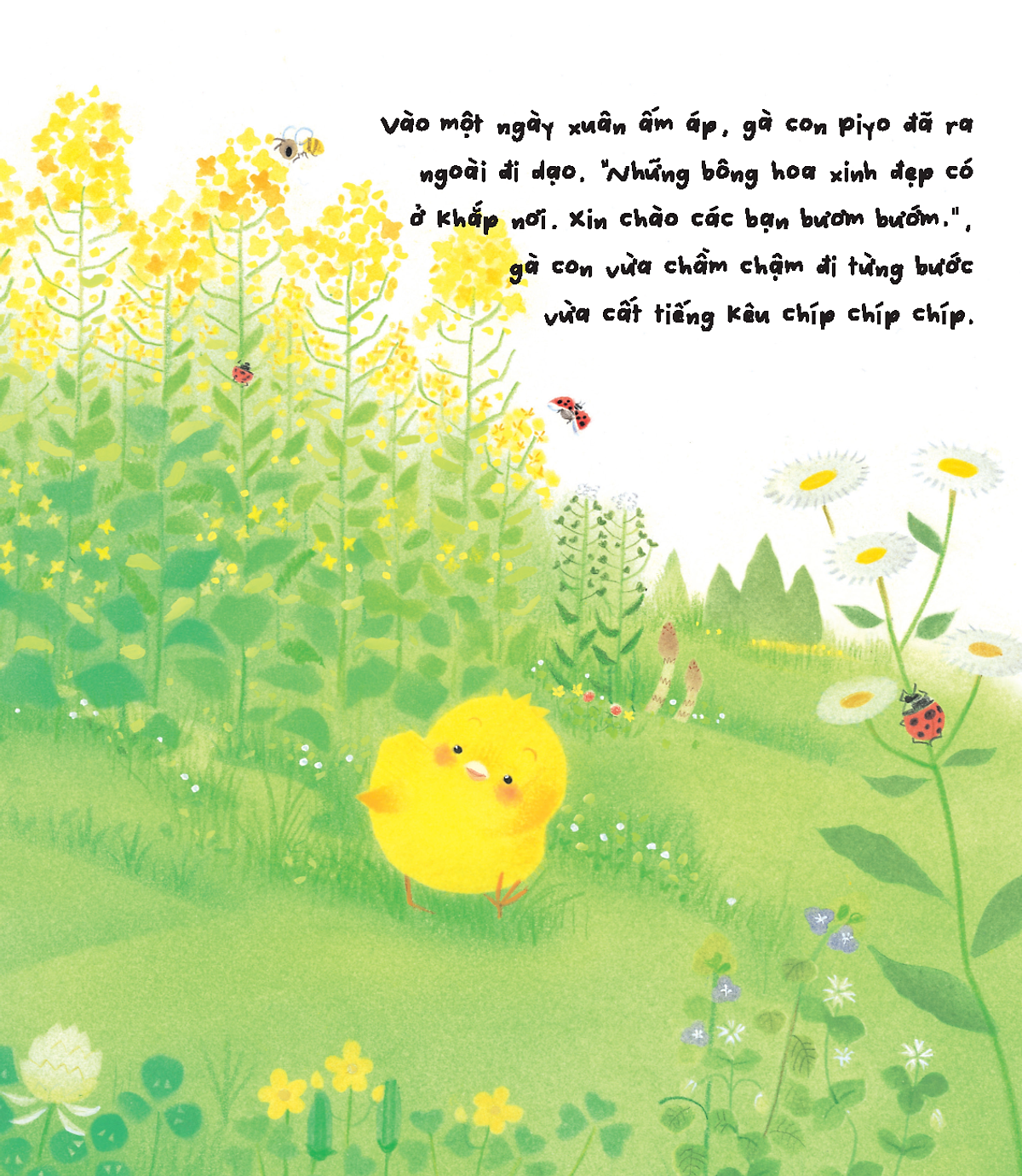 gà con và hoa hướng dương