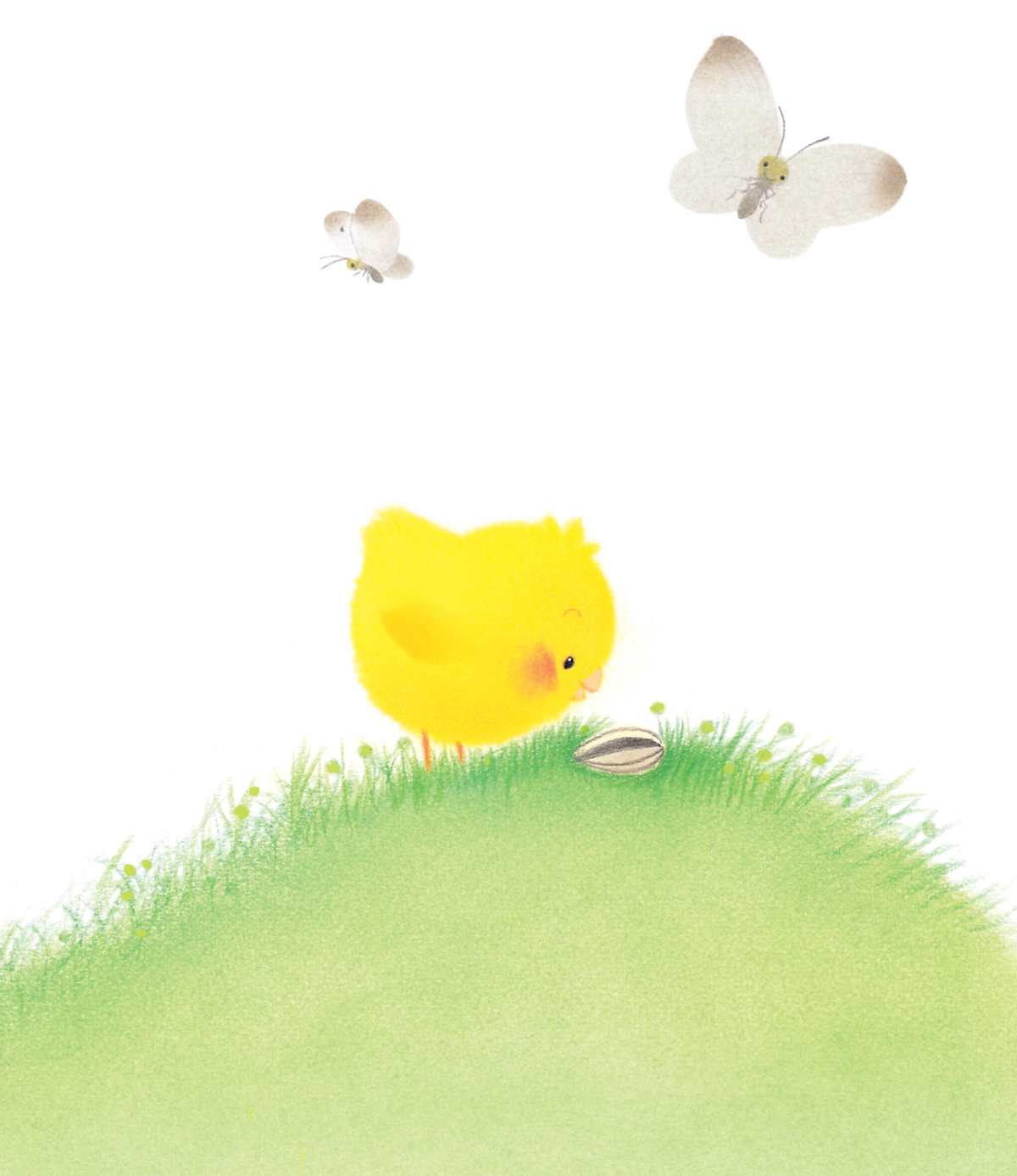 gà con và hoa hướng dương