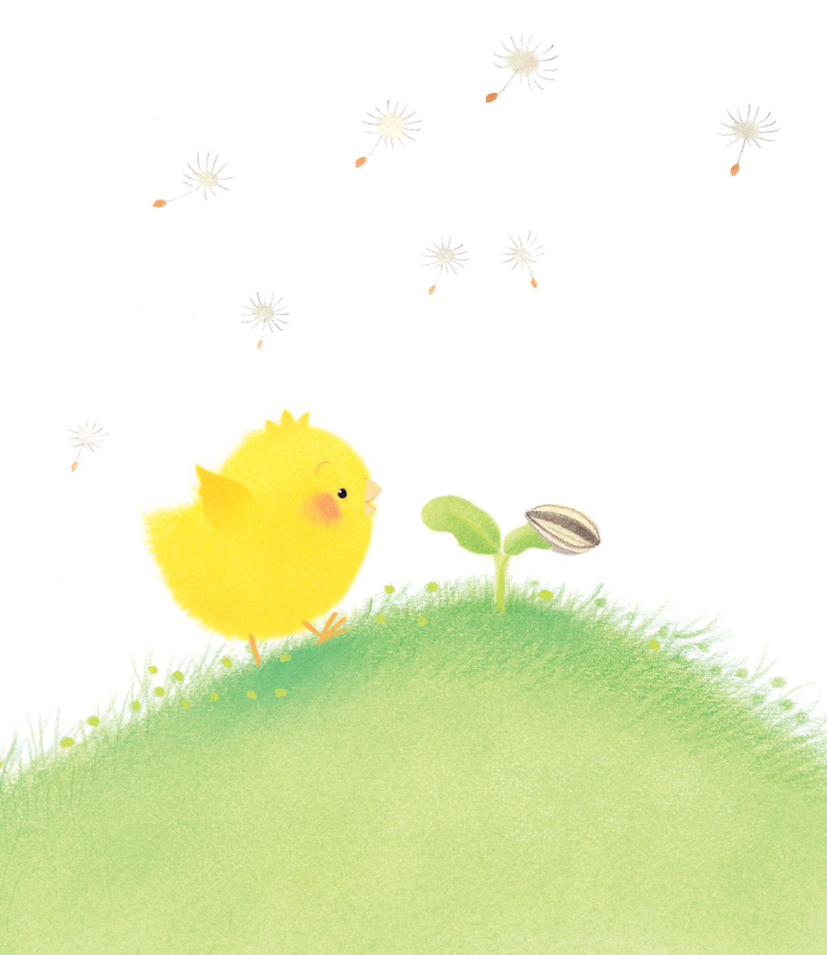 gà con và hoa hướng dương