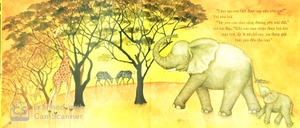 gặp mẹ trong trăng