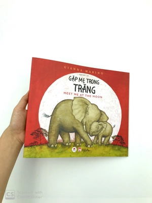gặp mẹ trong trăng