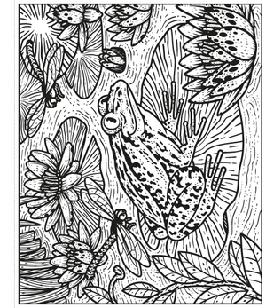 garden magic painting book