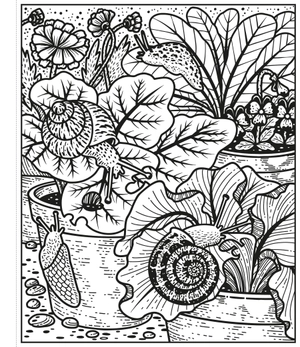 garden magic painting book