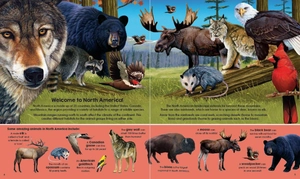 garry fleming's wild animals - book & jigsaw vol. 2
