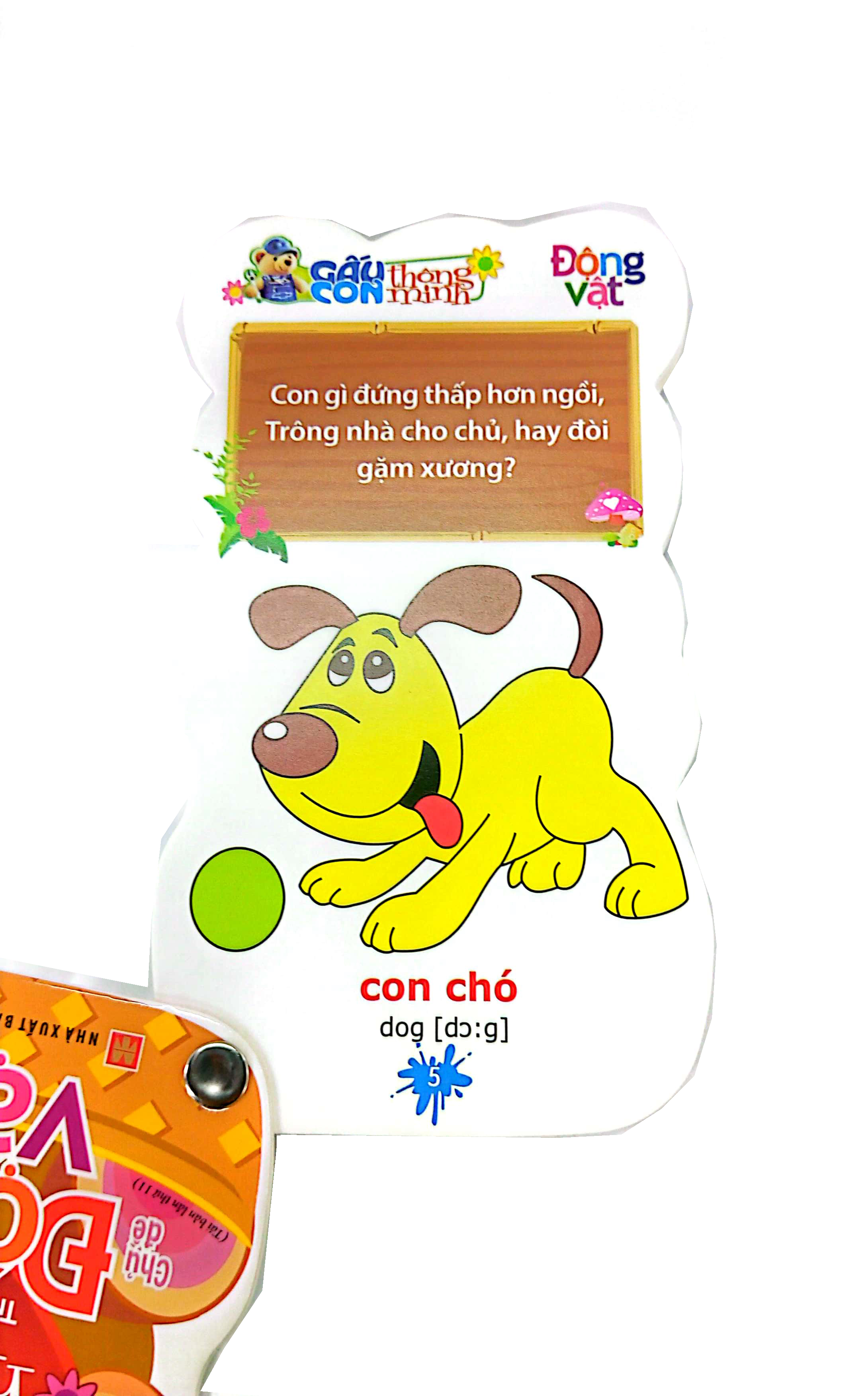 gấu con thông minh - dành cho trẻ mầm non - động vật (tái bản 2023)