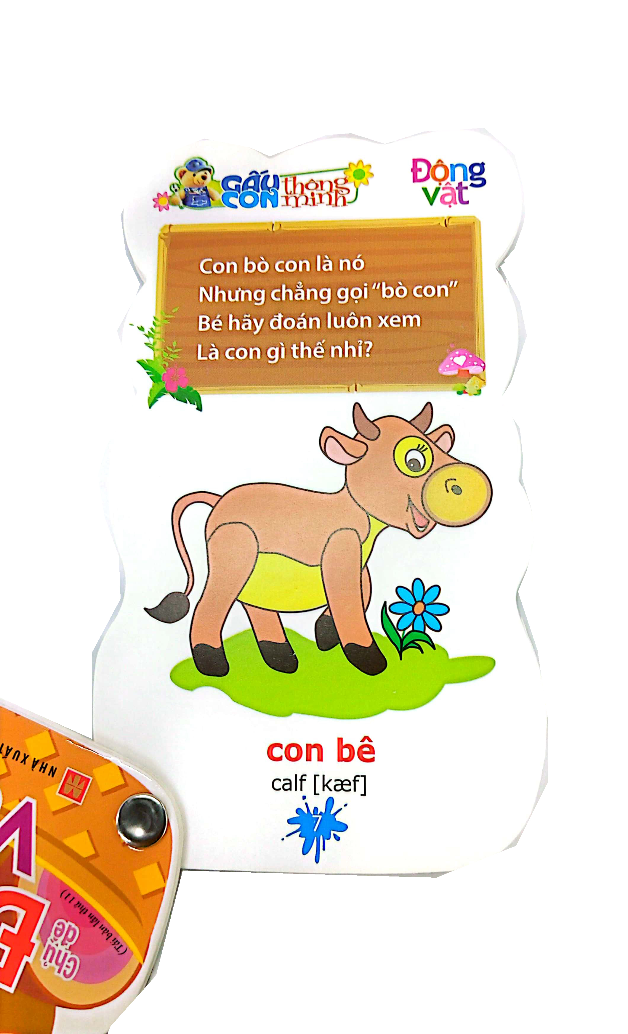 gấu con thông minh - dành cho trẻ mầm non - động vật (tái bản 2023)