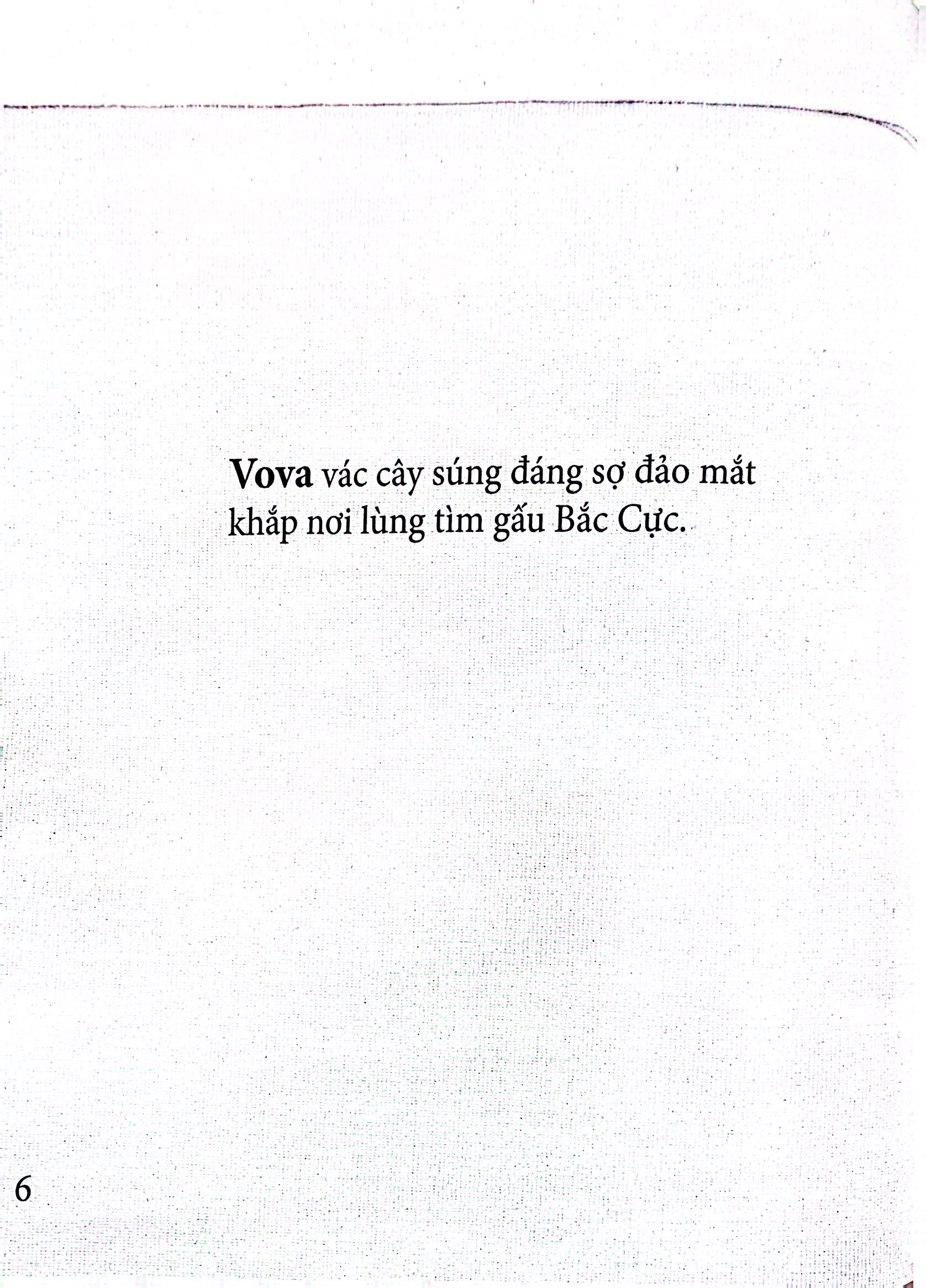 gấu koda - cái mũi đen