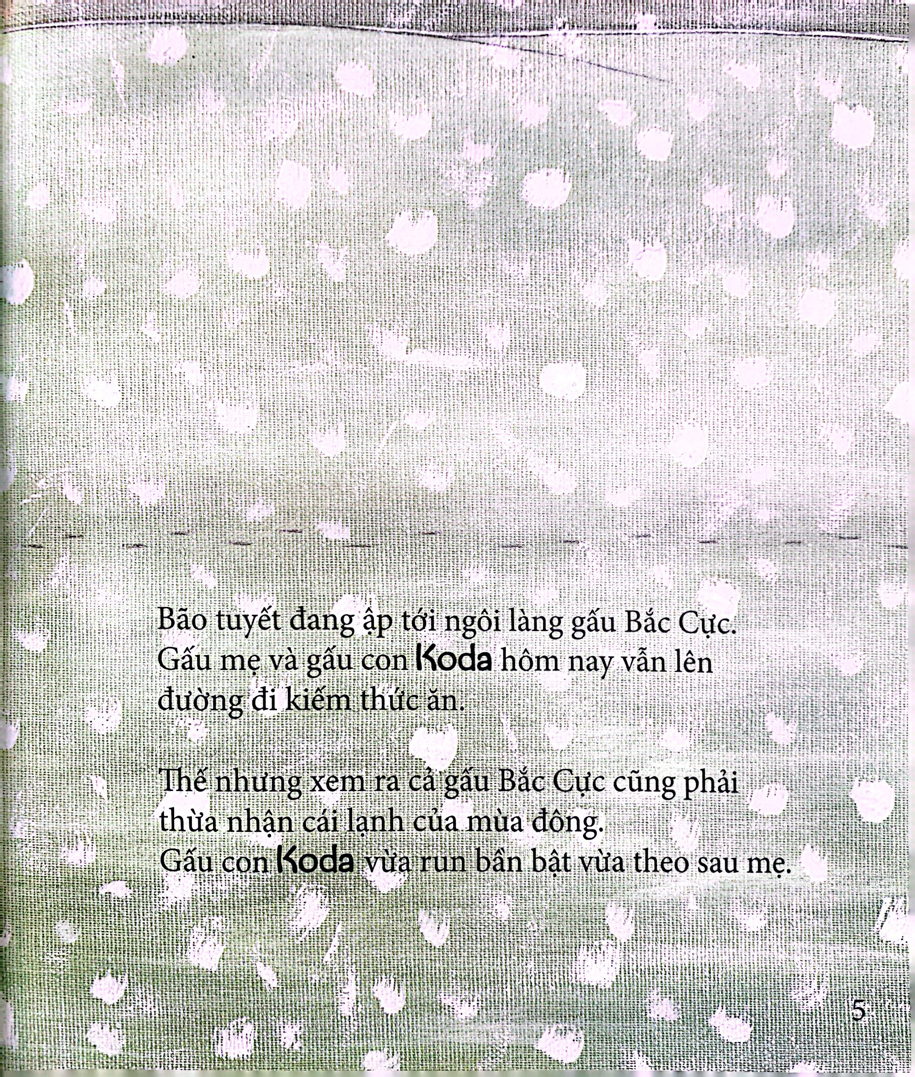 gấu koda - làn hơi ấm