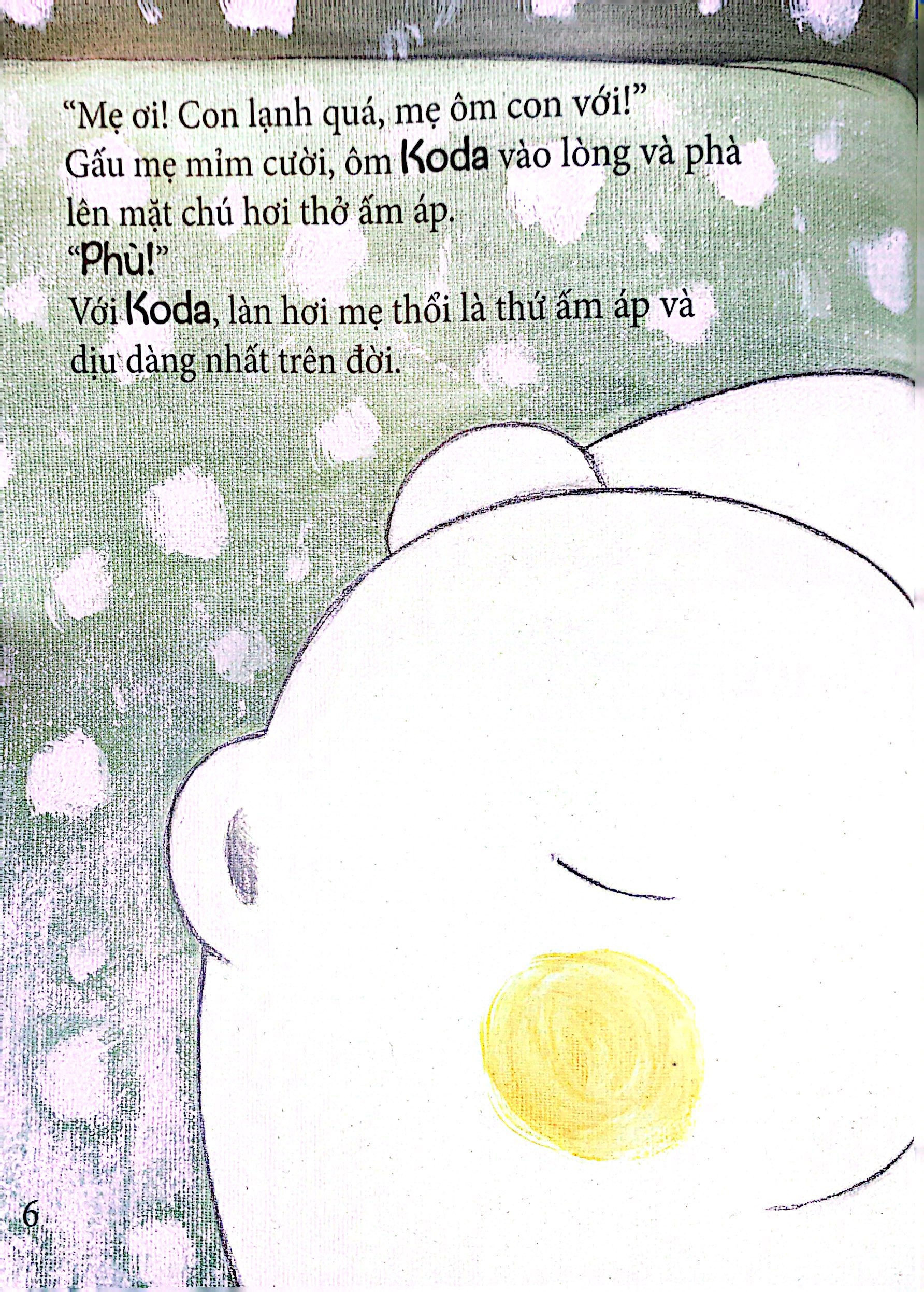 gấu koda - làn hơi ấm