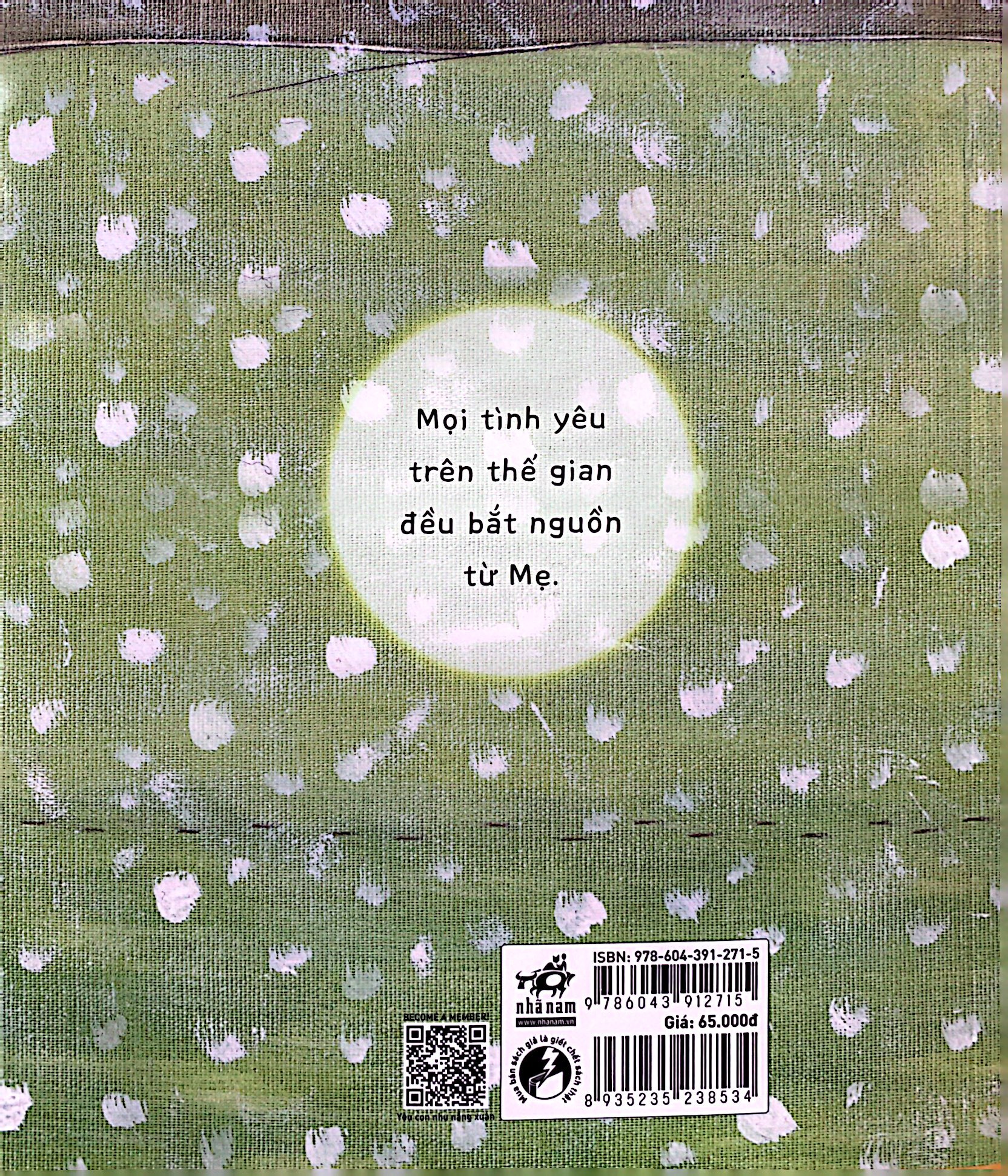 gấu koda - làn hơi ấm