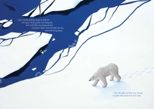 gấu mẹ cứu con