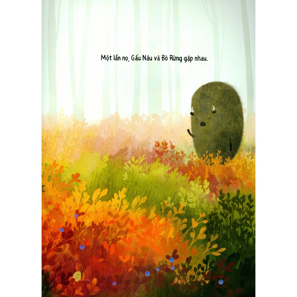 gấu nâu trốn ngủ - nature smart for kids