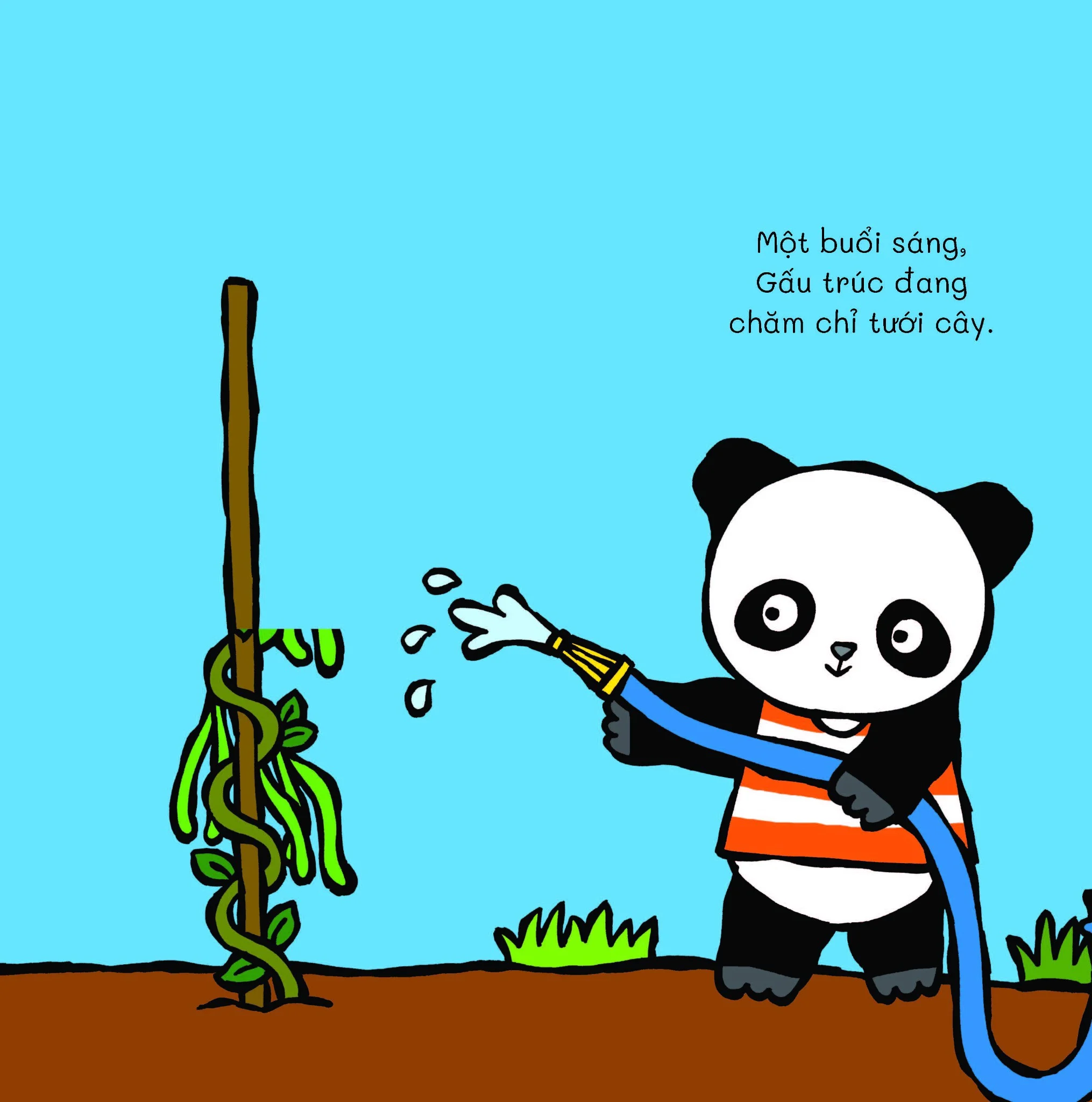 gấu trúc đi tìm - cùng lật giở thú vị - có thấy không gấu trúc ơi?