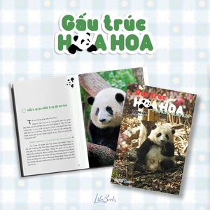 gấu trúc hoa hoa
