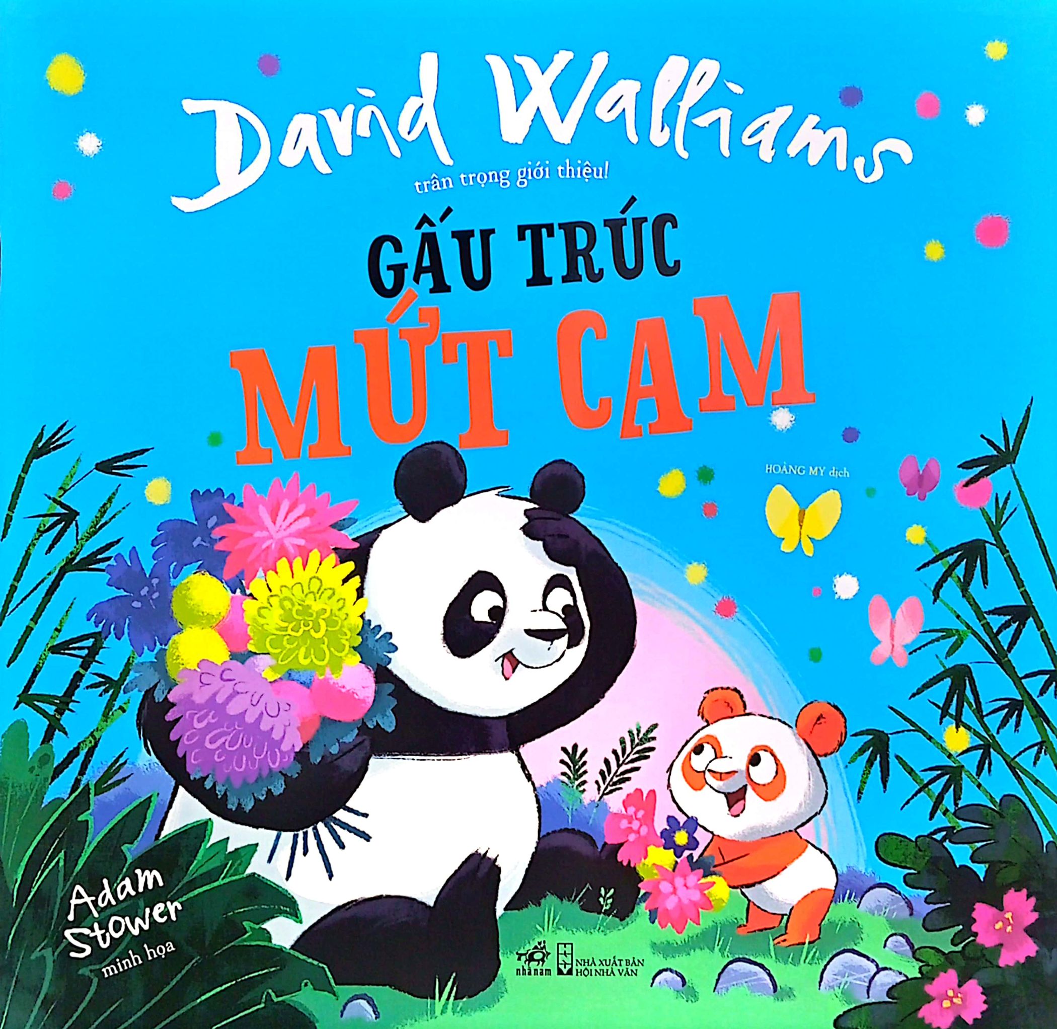 gấu trúc mứt cam