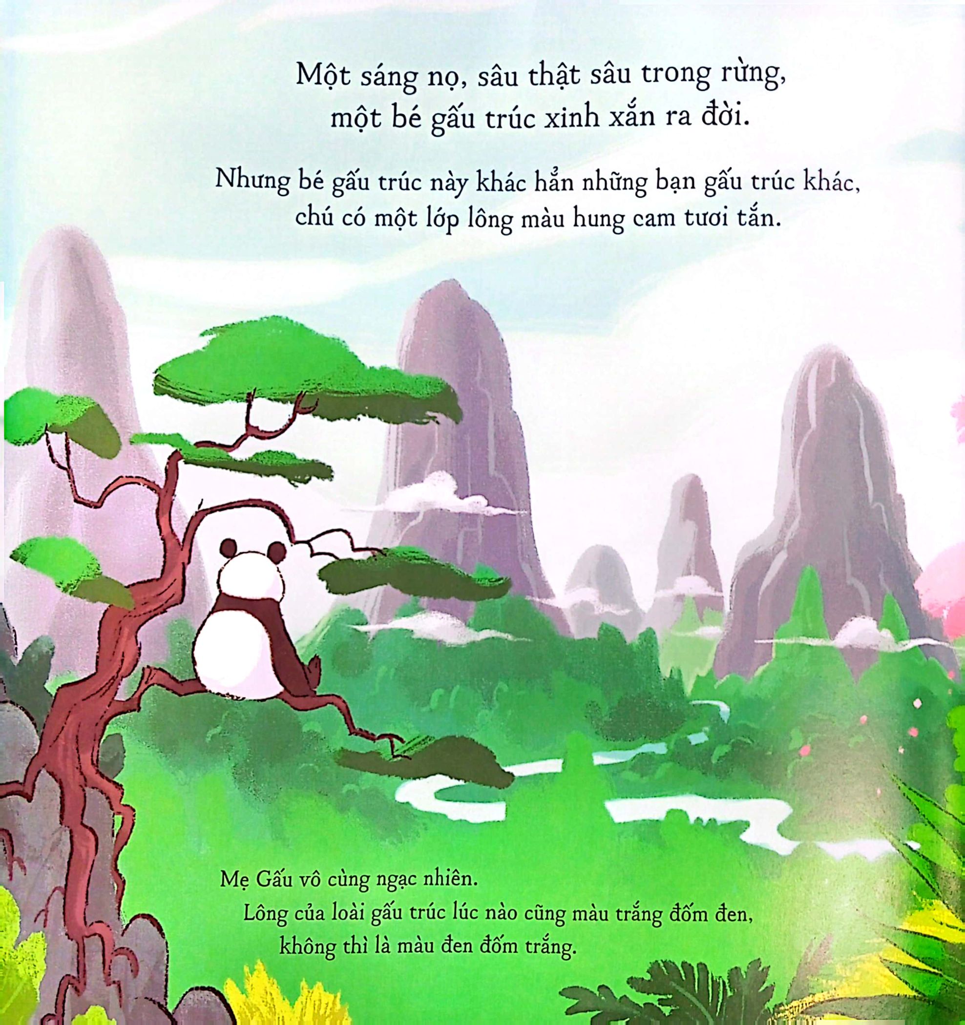 gấu trúc mứt cam