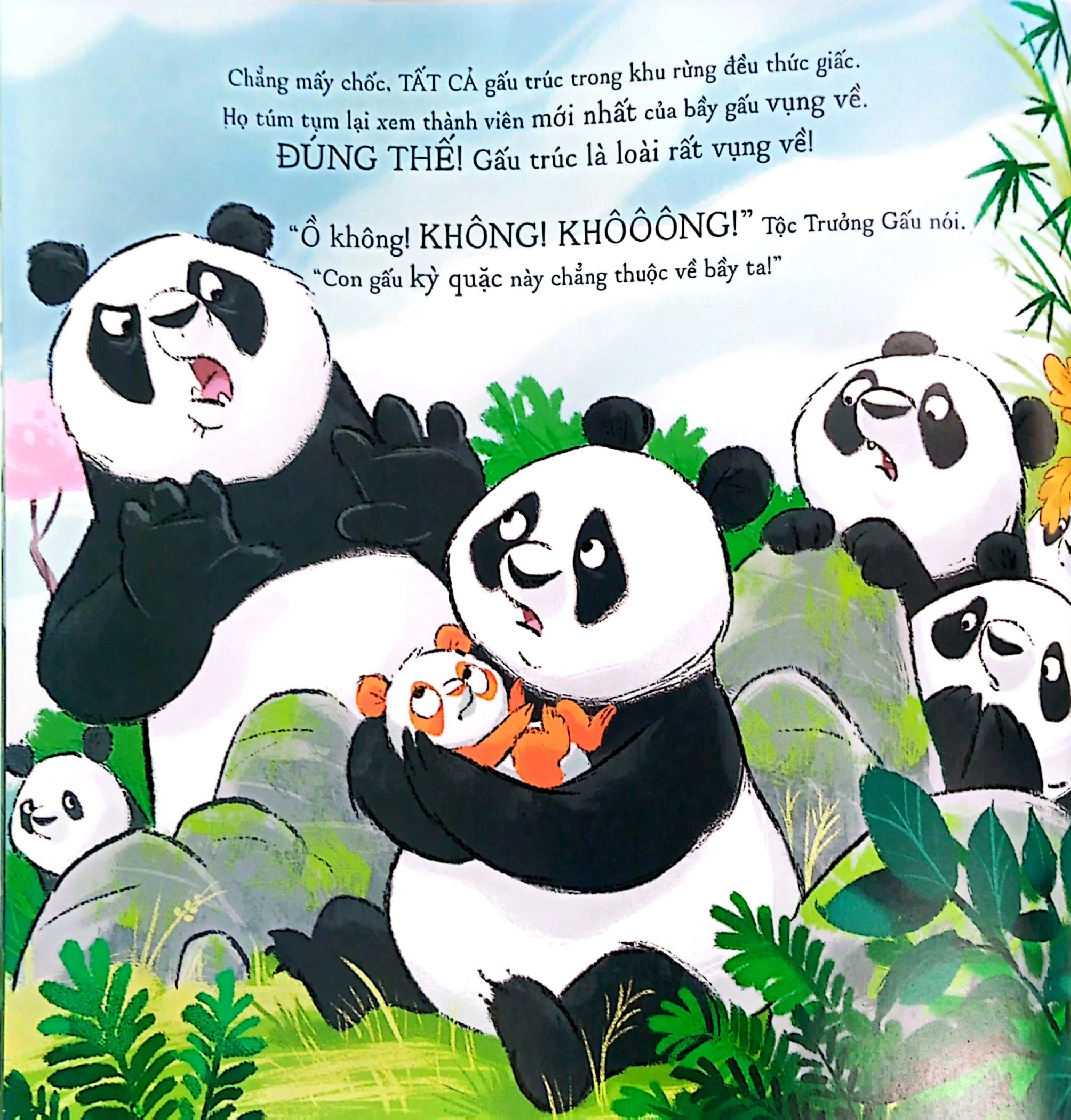 gấu trúc mứt cam