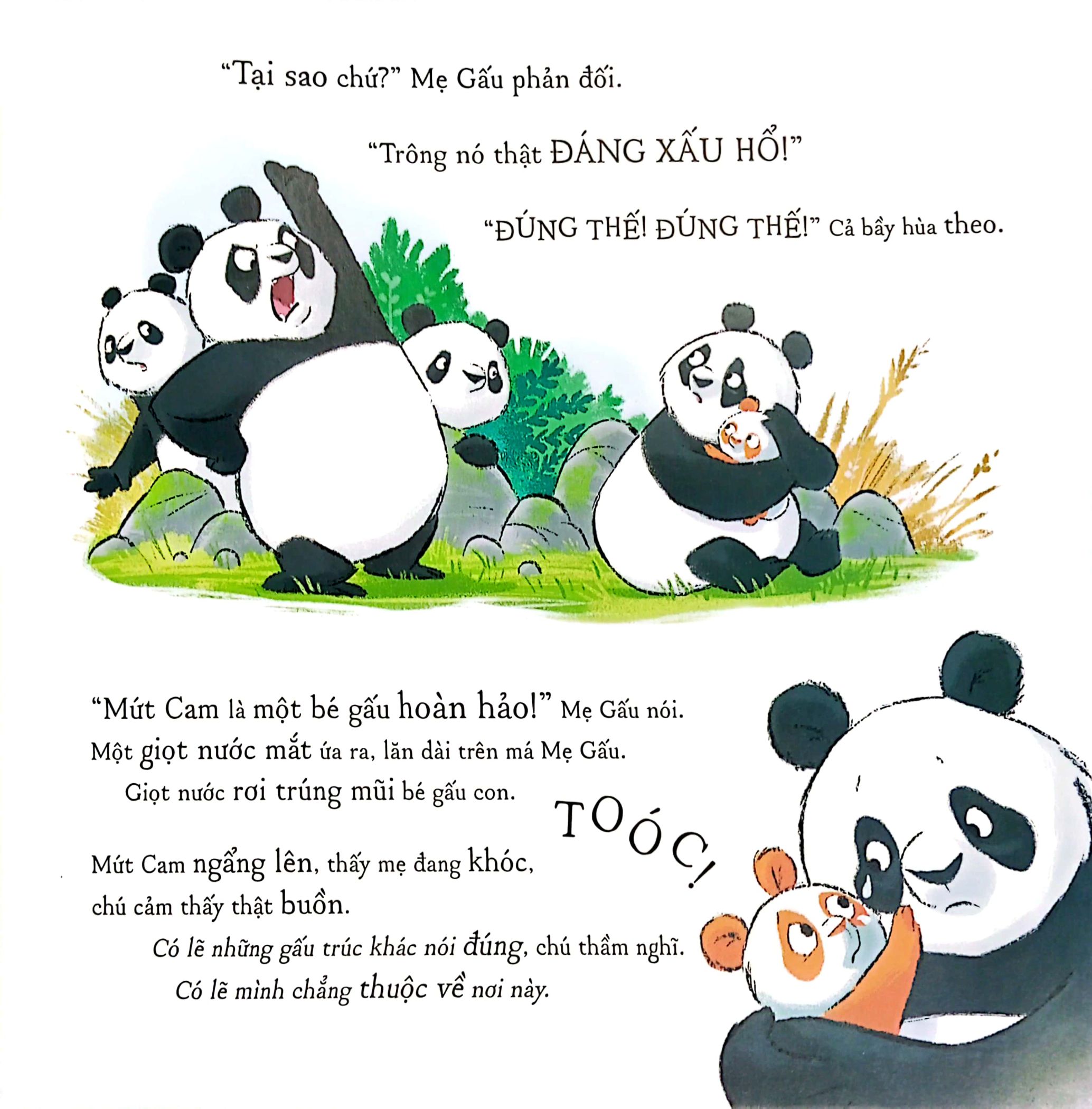 gấu trúc mứt cam