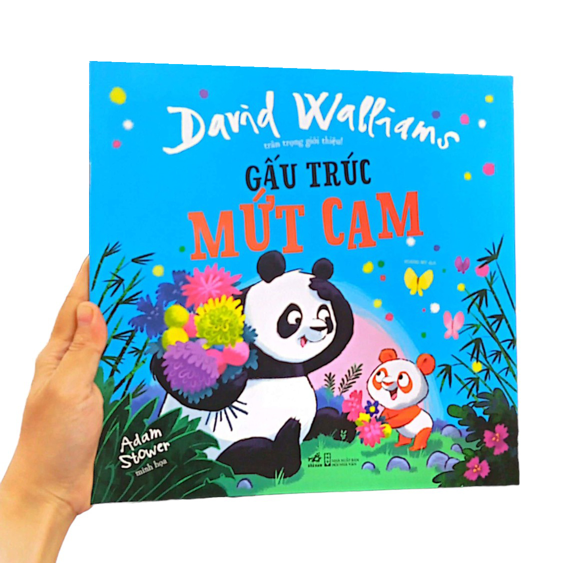 gấu trúc mứt cam