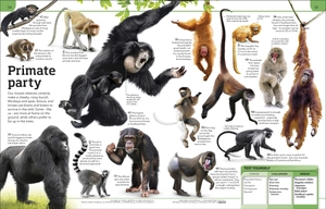 general knowledge genius!: a quiz encyclopedia to boost your brain