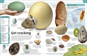 general knowledge genius!: a quiz encyclopedia to boost your brain