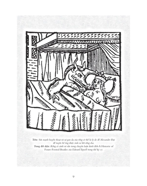 geomancia - rồng, đường ley, cảm xạ và các bí ẩn trên trái đất