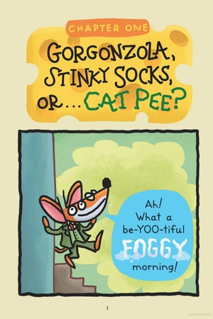 geronimo stilton graphic novel - book 1 - the sewer rat stink