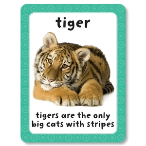 get set go: flashcards - animals