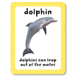 get set go: flashcards - animals