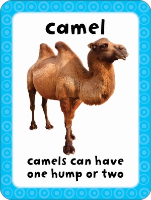 get set go: flashcards - animals