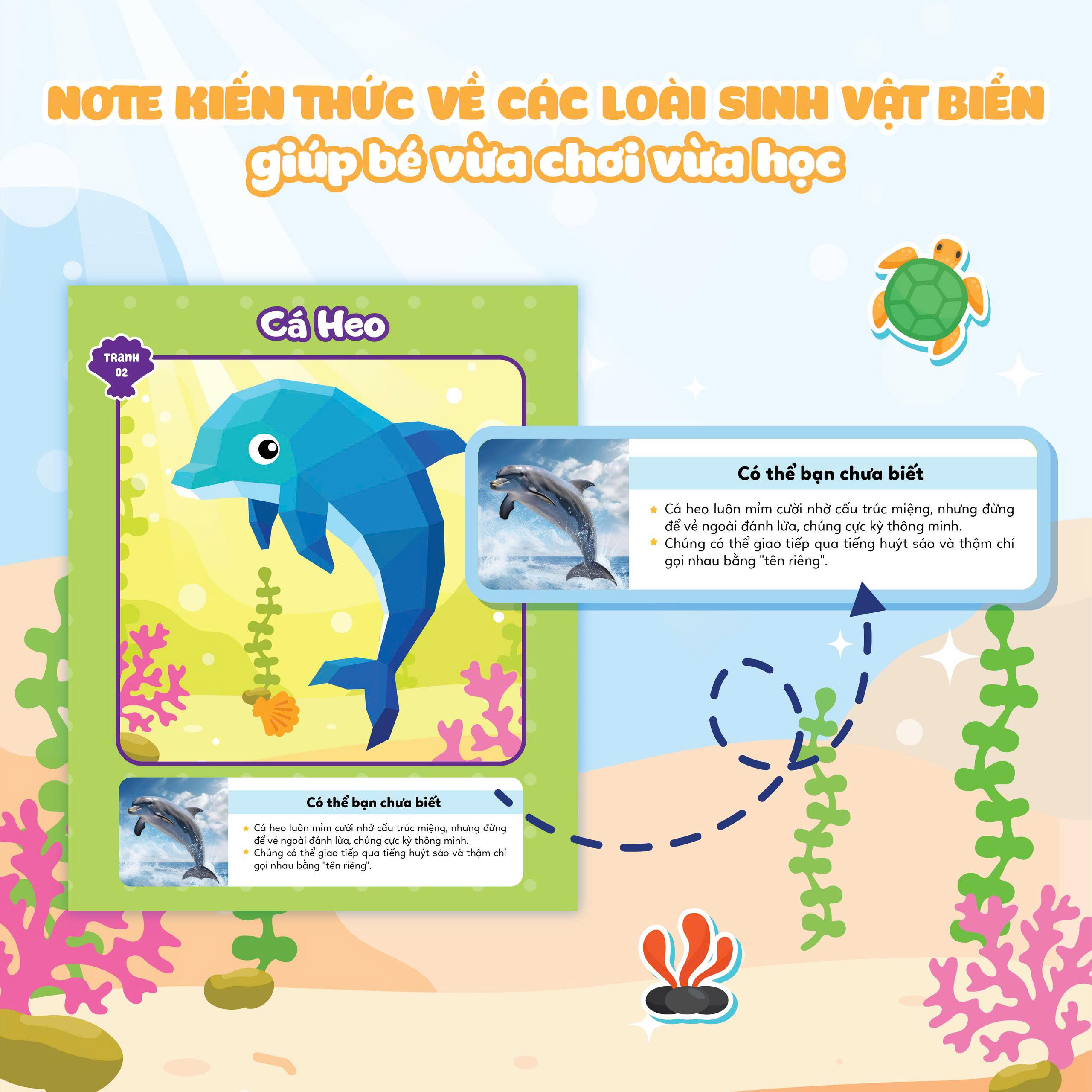 Ghep Hinh Sticker 3D - Dai Duong 01