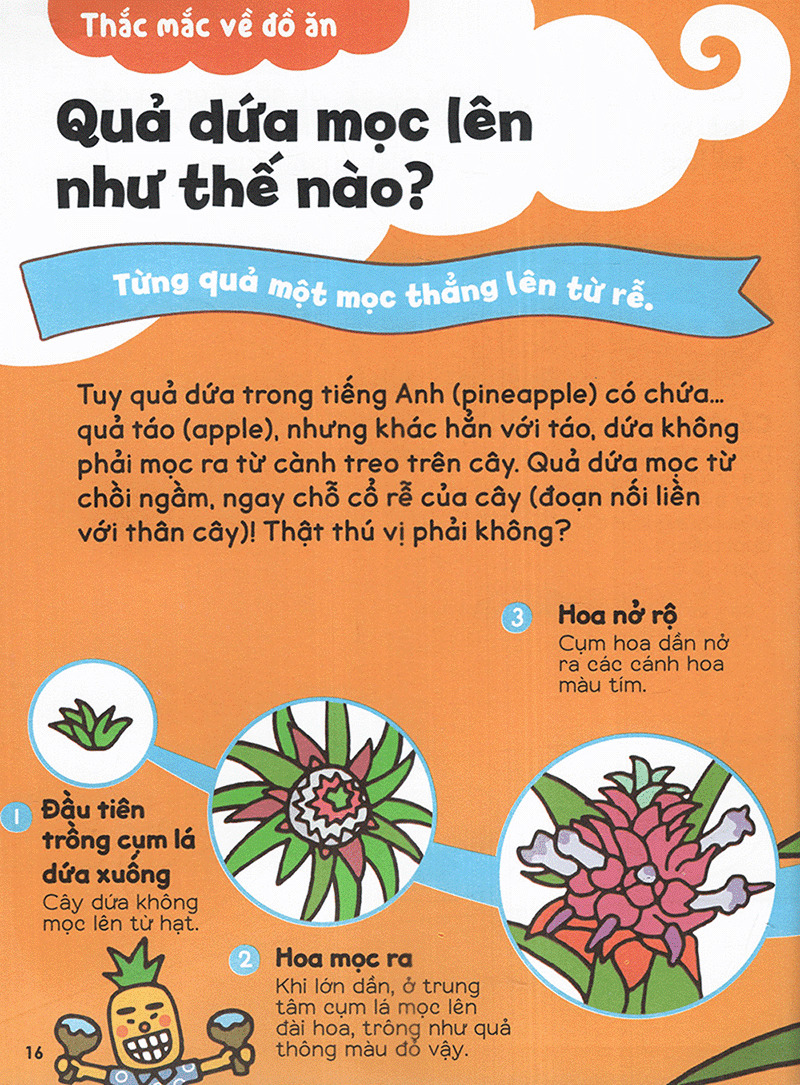 gi gỉ gì gi cái gì cũng biết - dành cho lớp 2