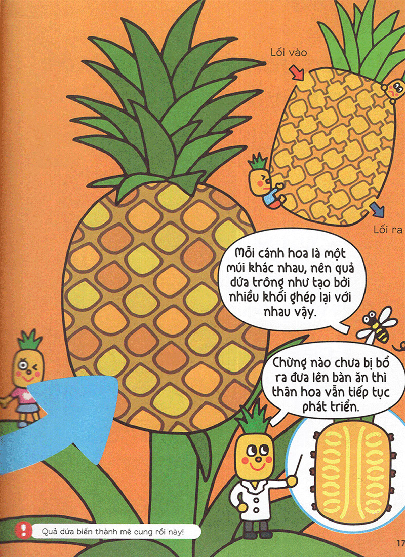 gi gỉ gì gi cái gì cũng biết - dành cho lớp 2