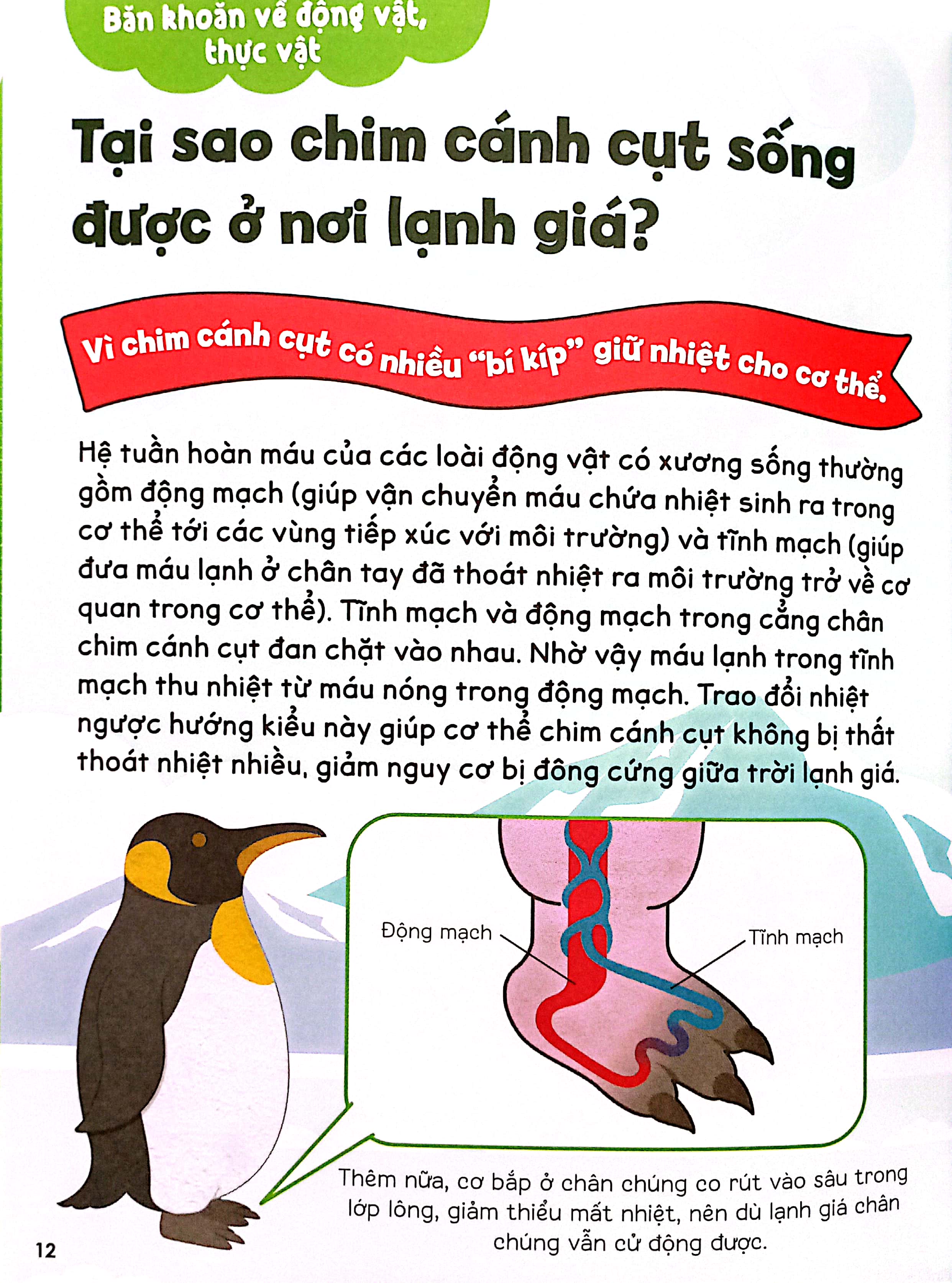 gi gỉ gì gi, cái gì cũng biết - dành cho lớp 3